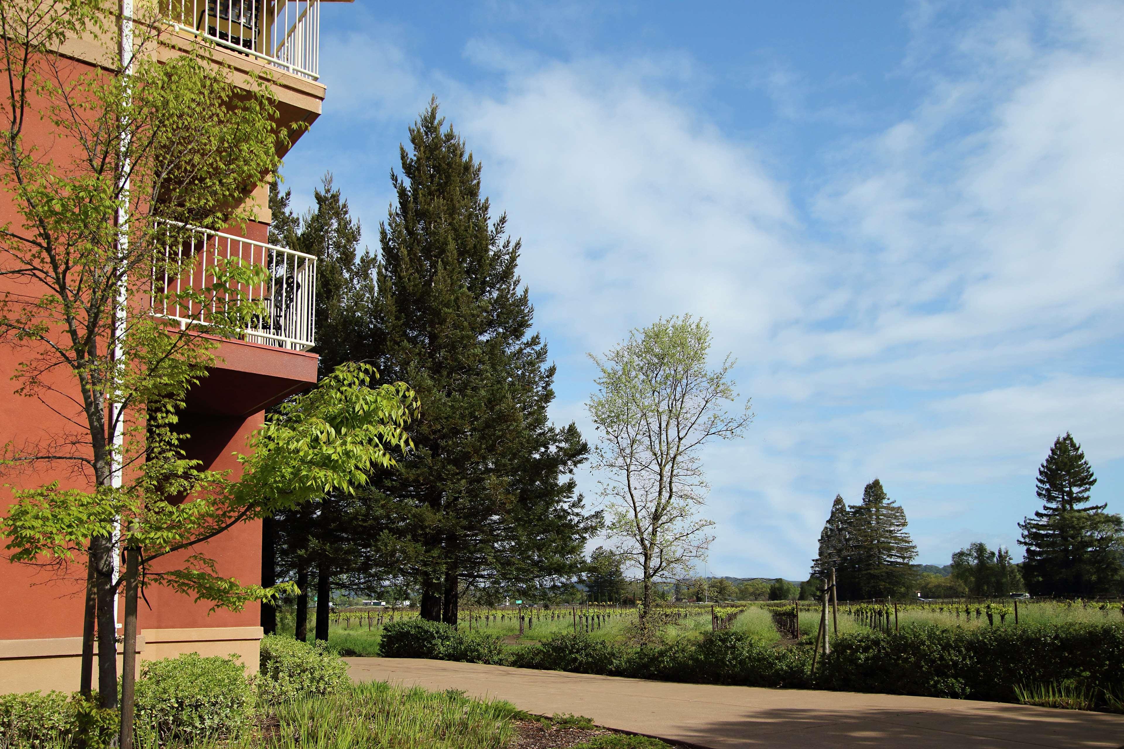 Hilton Garden Inn Sonoma County Airport Santa Rosa Zewnętrze zdjęcie