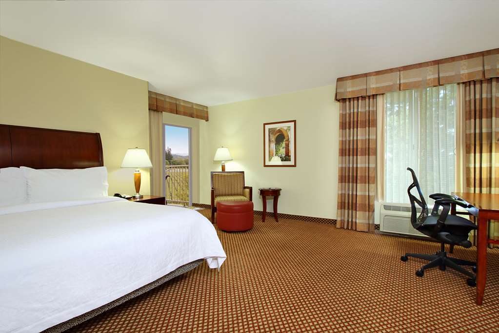 Hilton Garden Inn Sonoma County Airport Santa Rosa Pokój zdjęcie